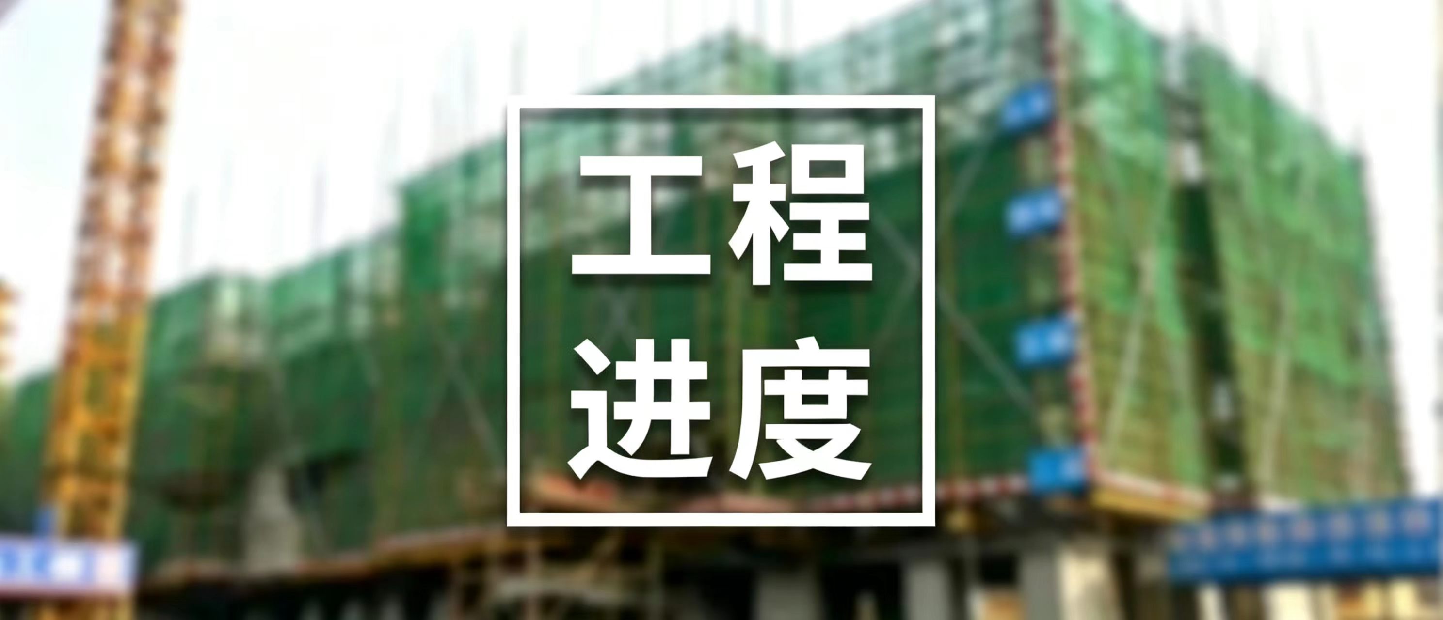 工程进度