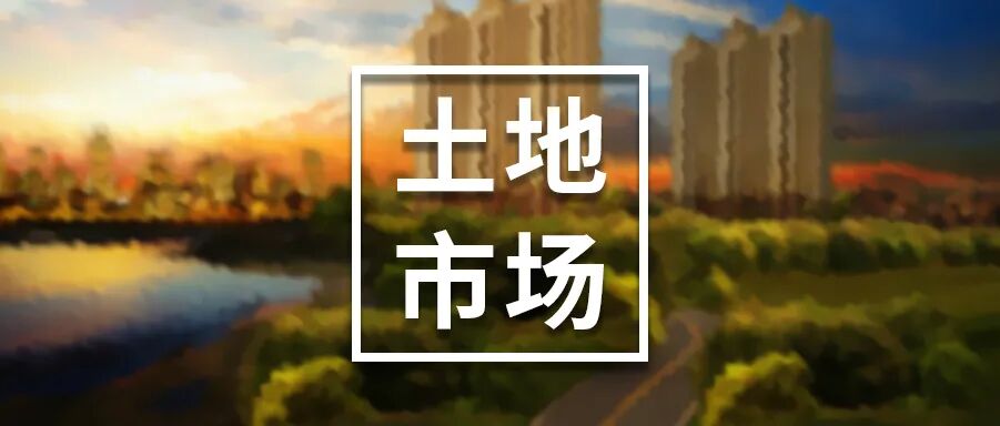 土地市场